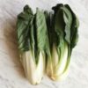 Bietola Da Coste Bianca, Bio, Cassetta 6 Kg.