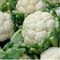 Cavolo Cavolfiore Bio, Cassetta 7 Kg.