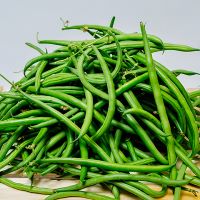 Fagiolini Bio, Cassetta 4 kg.