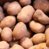Patata Rossa Calibro Medio, Cassetta 10 Kg.